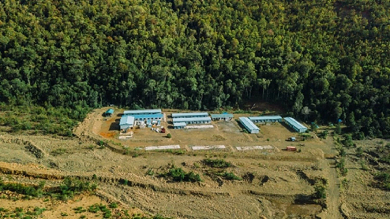 Insights on Nickel Mining Companies