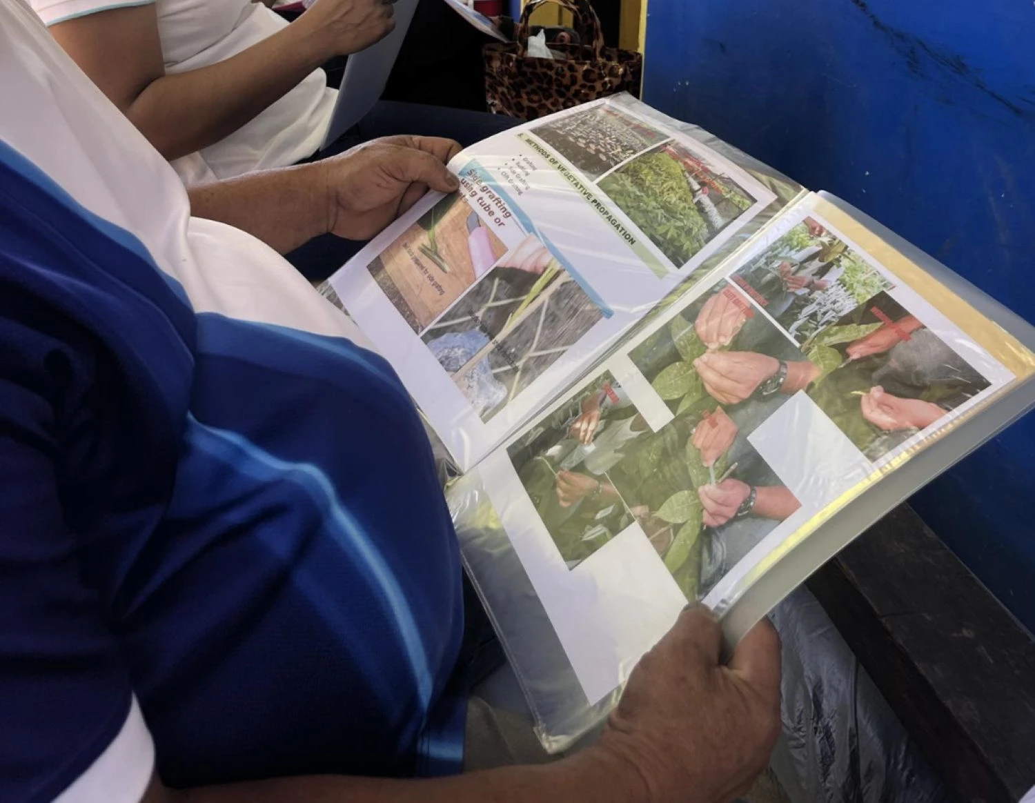 HMC Distributes Cacao Nursery Establishment Kits to Farmers in Brgy. Macambol